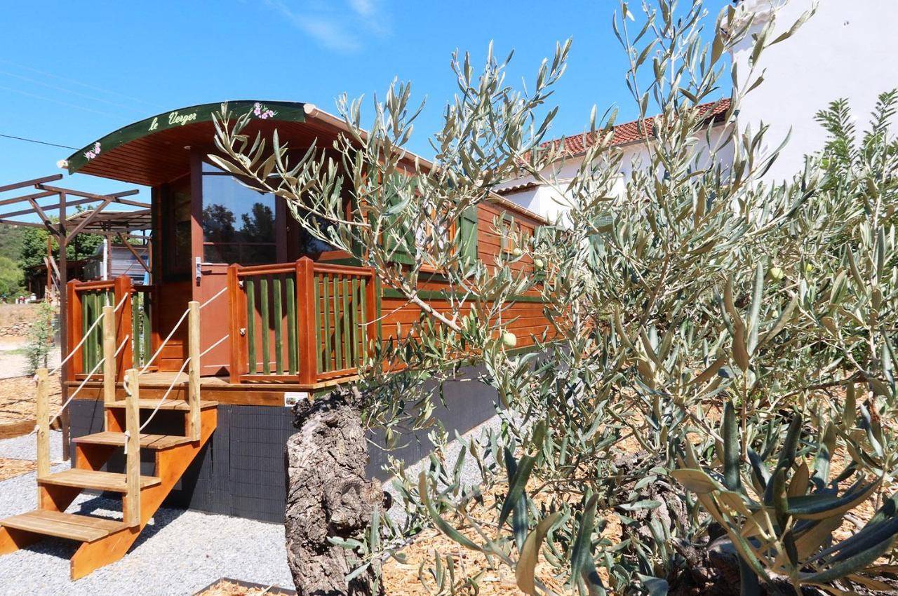 Roulotte Au Coeur Des Vignes, Camping Hyères